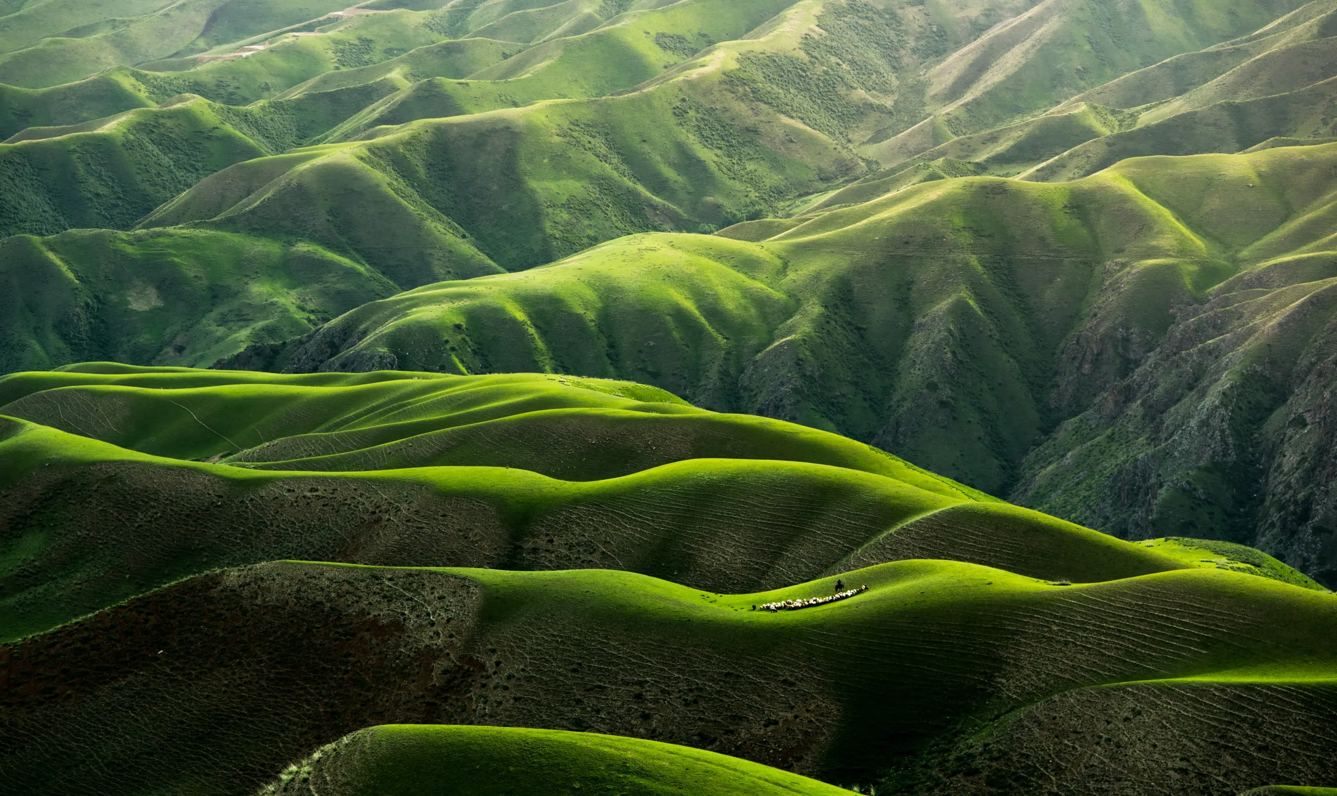 Descarga esta foto HD gratuita de naturaleza, verde, paisaje y montaña de Qingbao Meng (@ideasboom)