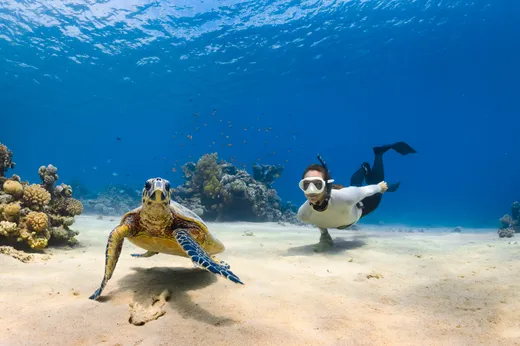 Un par de tortugas marinas nadando una al lado de la otra